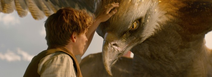 fantastic-beasts-and-where-to-find-them-58